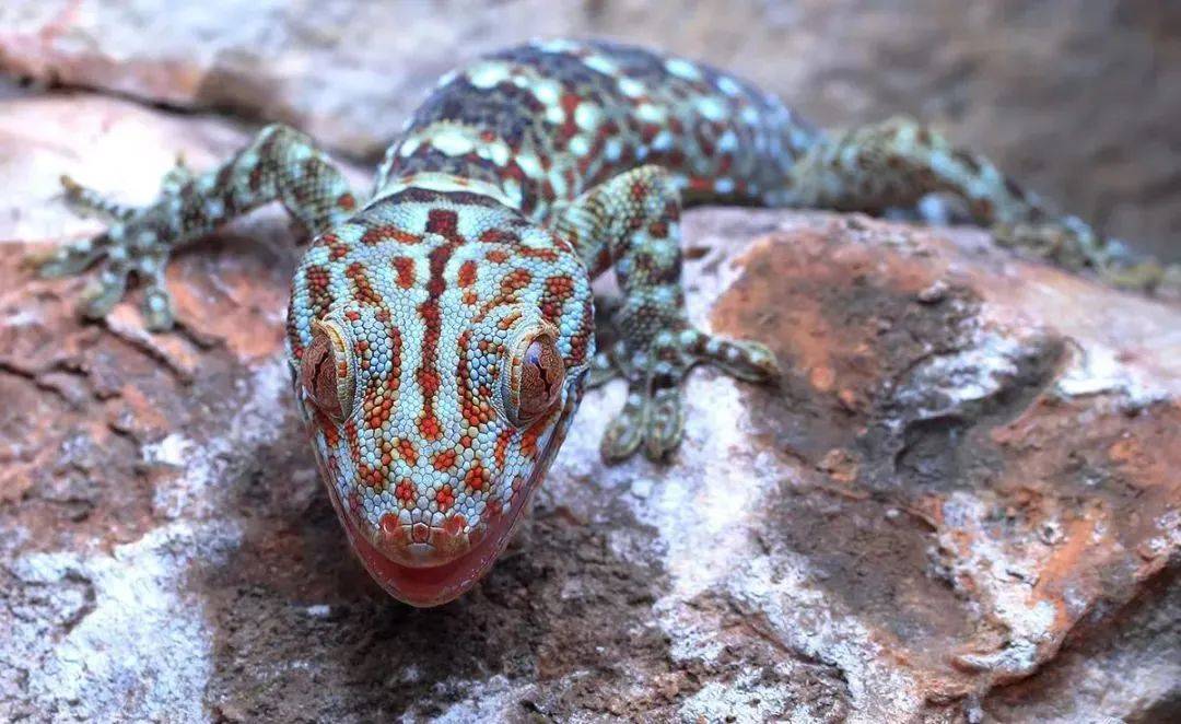 广西清明放假十一天打工人实名羡慕了