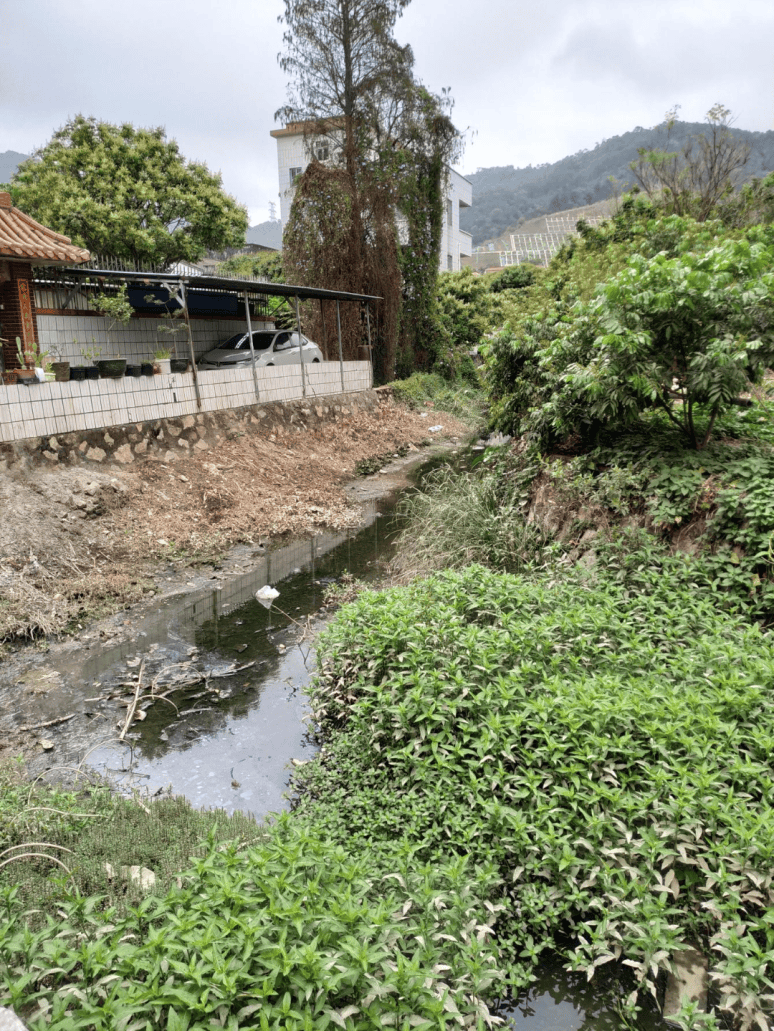 神湾镇开展人大代表接待选民日活动听民意解民忧