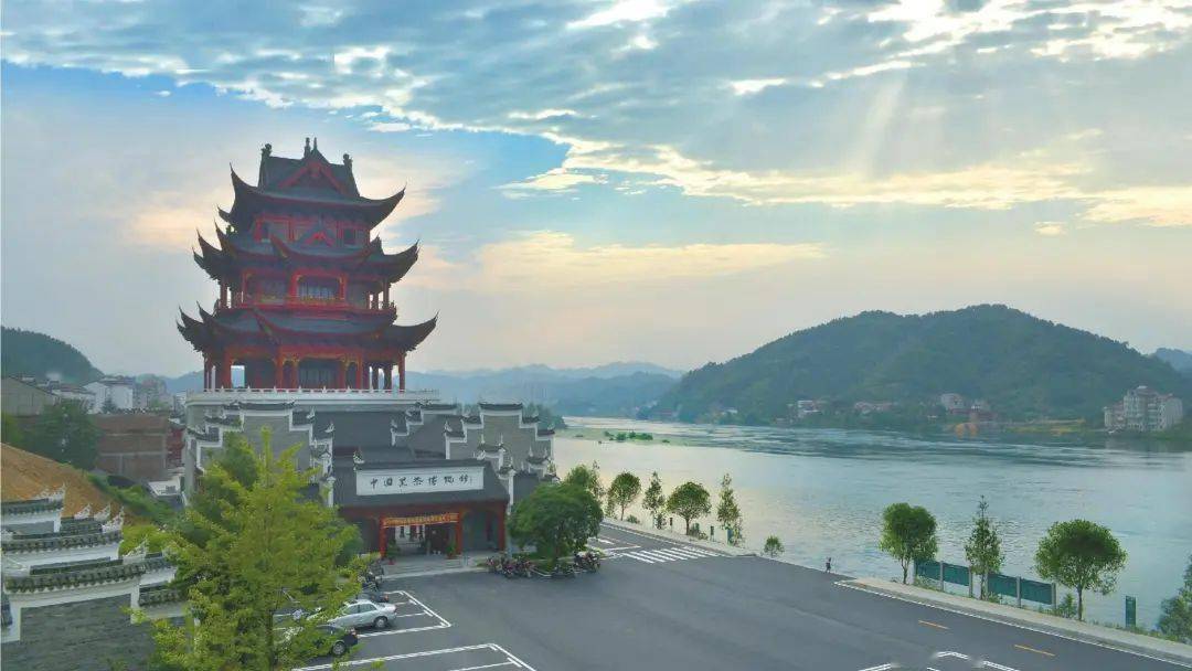 春季邀你来采茶安化精品旅游线路新鲜出炉
