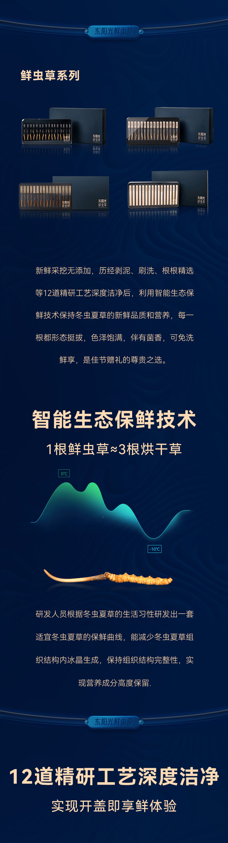 东阳光上新品牌鲜享虫草滋补力量