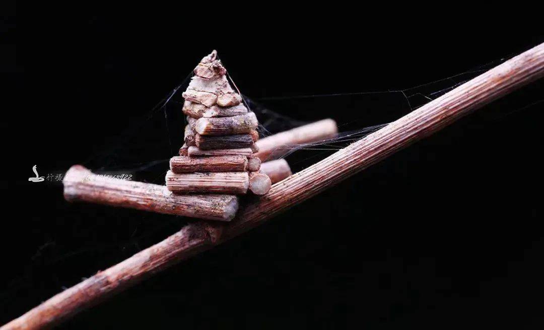 广西清明放假十一天打工人实名羡慕了