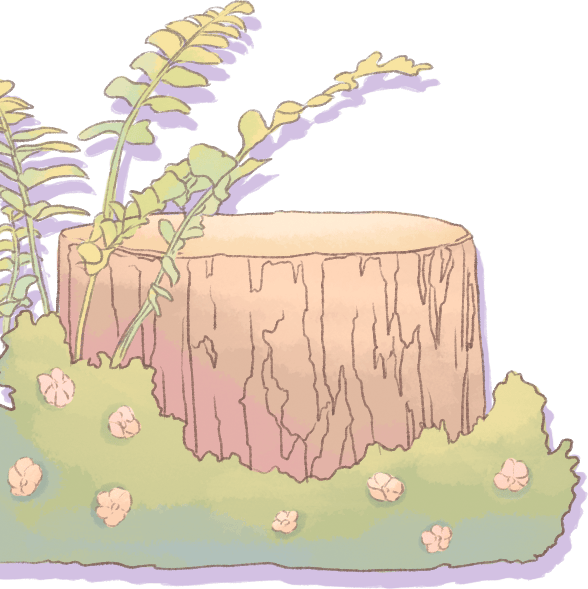 又到了一年一度的赏樱季常州光大国旅给大家安排上了一大波赏樱线路!