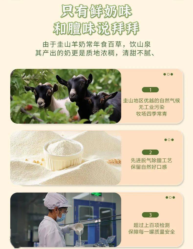 牧草四季常青,自然散养的圭山羊出身名贵,饿了吃百草(火棘果,虫草