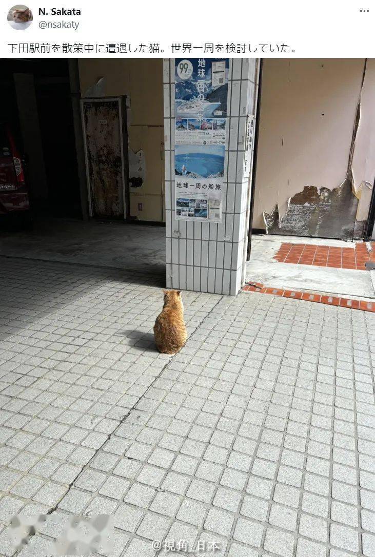 但是你被自动驾驶的车撞了.