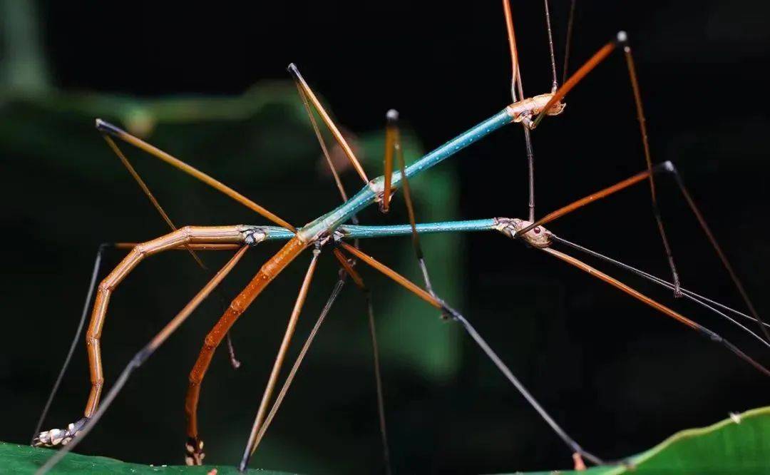 广西清明放假十一天打工人实名羡慕了