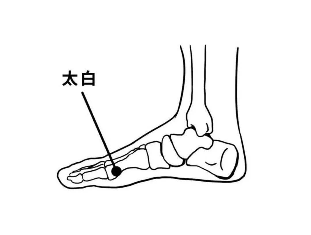 太白穴,在足内侧缘,当足大趾本节(第1跖趾关节)后下方凹陷处.