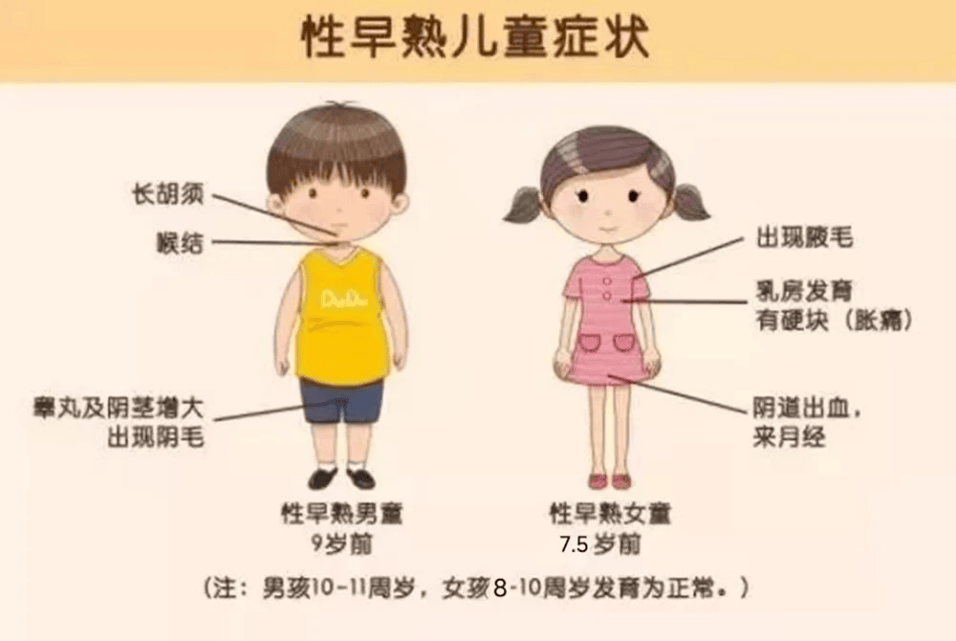 女孩性早熟 胸围图片