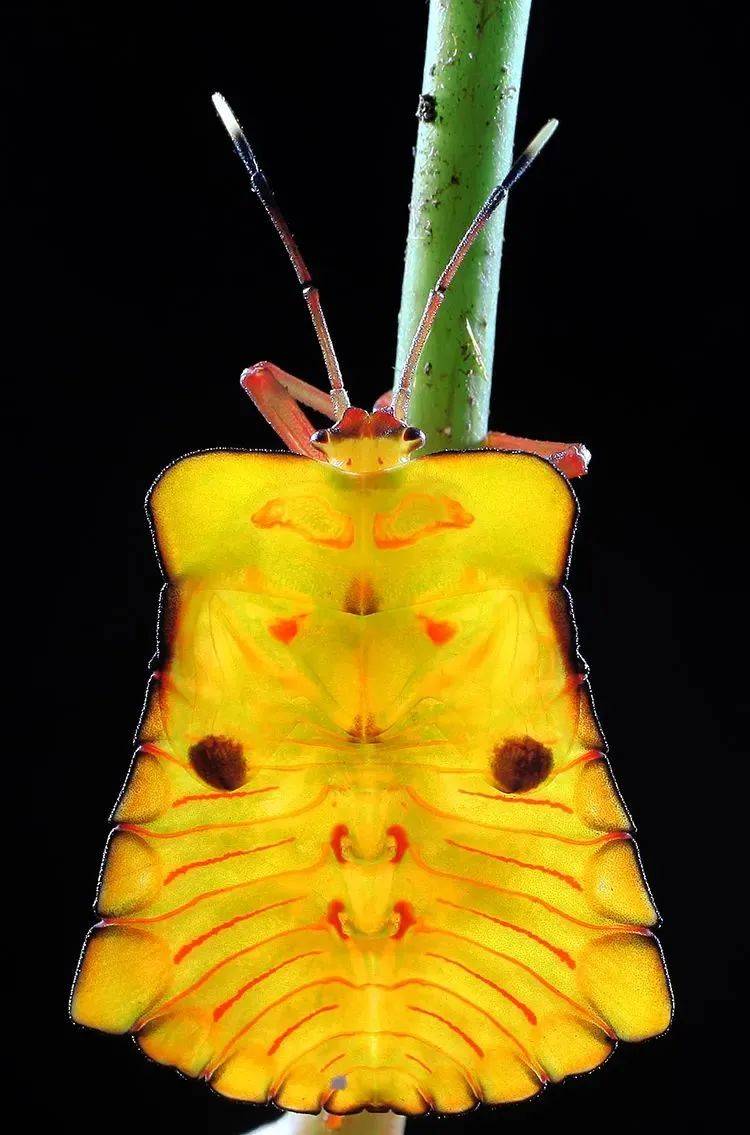 广西清明放假十一天打工人实名羡慕了