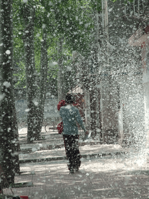 春天,是万物复苏,生机勃勃的季节,也是柳絮飘飞的时节.