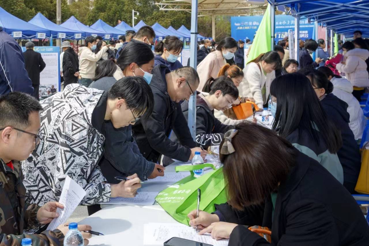浦东在周浦镇开启社工岗位通用技能专项培训行动_上海_服务_就业