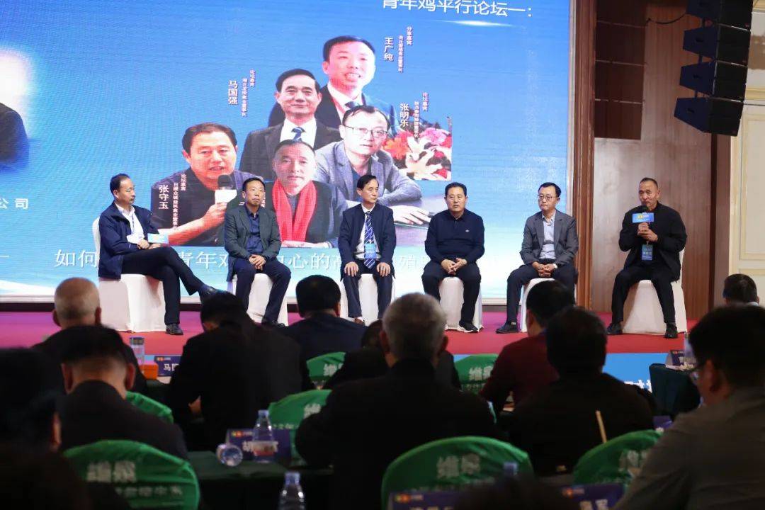 格局与应变!未来规模蛋鸡发展与三种行业主流服务模式