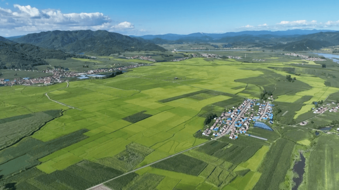 通化县加快推进农业农村现代化建设