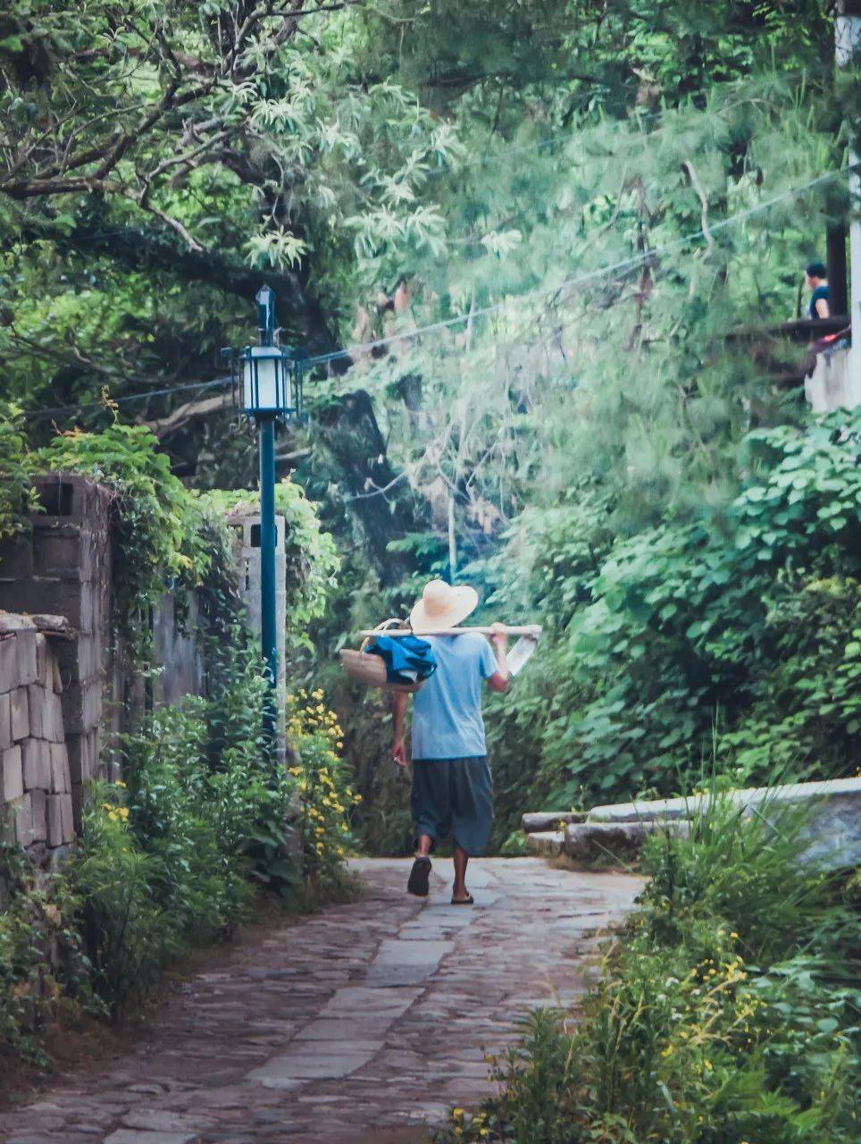 中国最美56个春天美到落泪