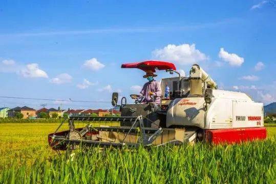 点亮乡村丨温州市发布2024年农业主导品种和主推技术