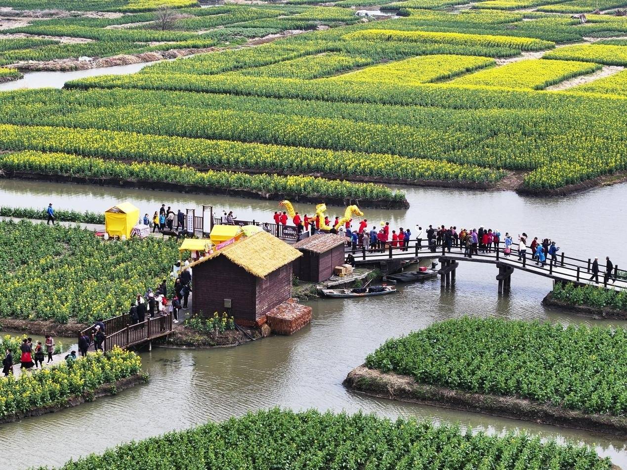 2024中国·兴化千垛菜花旅游季盛大开幕