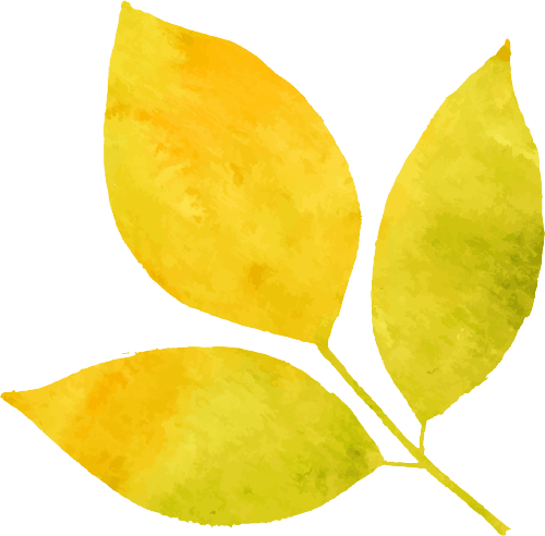 善爱青春之我拥抱生命之光传媒学院325心理健康教育系列活动圆满结束