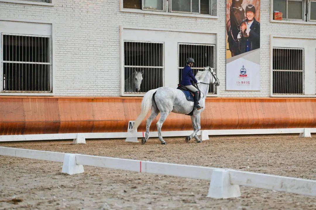 图集中马协骑手分级考核场地障碍及盛装舞步项目圆满落幕