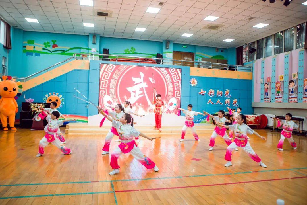 阳光少年逐梦外交摩尔多瓦驻华大使进校园交流访问活动