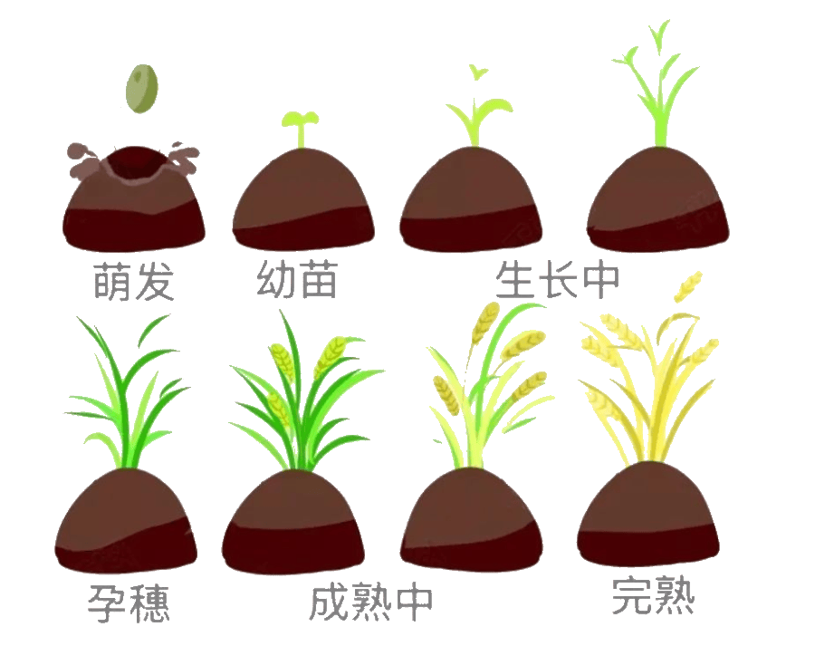 【亲子/单飞1天】4月4/5日 1.