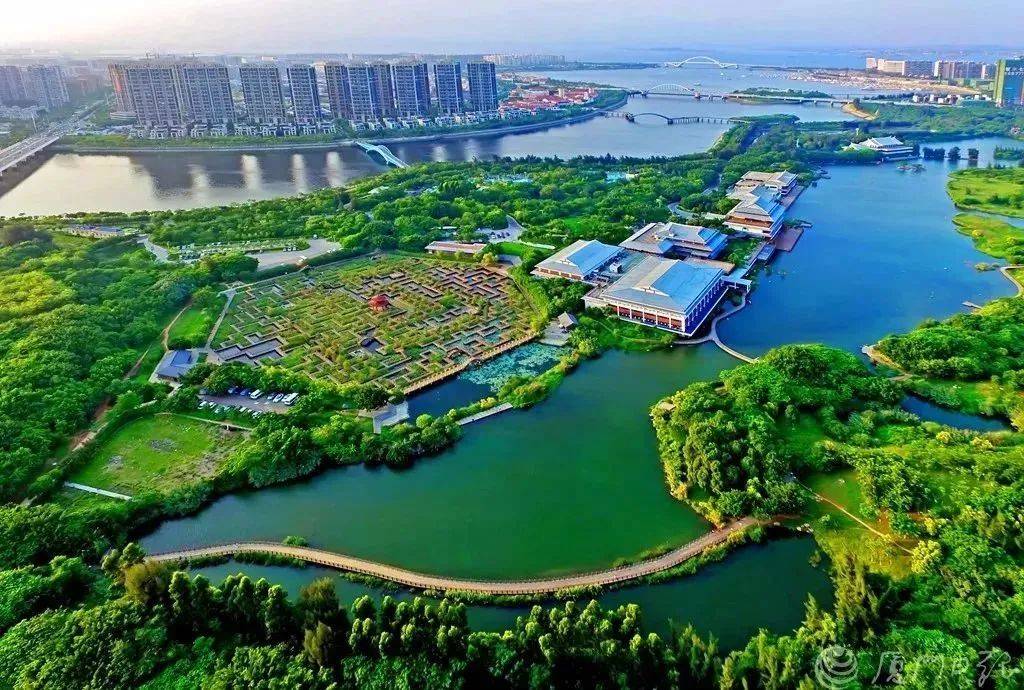 春日踏青新乐趣厦门上演万鸟齐飞大片附观鸟地图