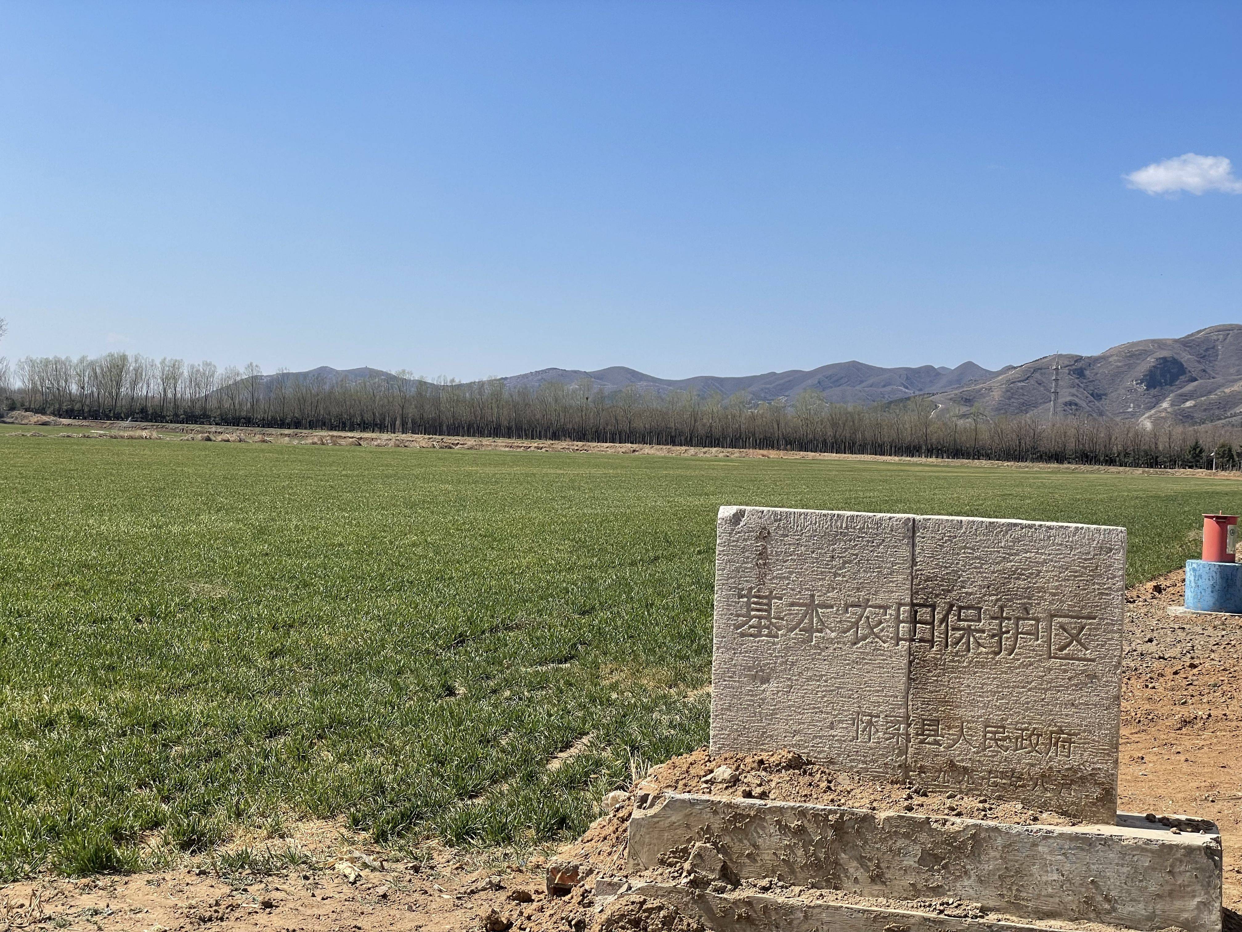 怀柔小秸秆成为大能源废枝条化作有机肥料