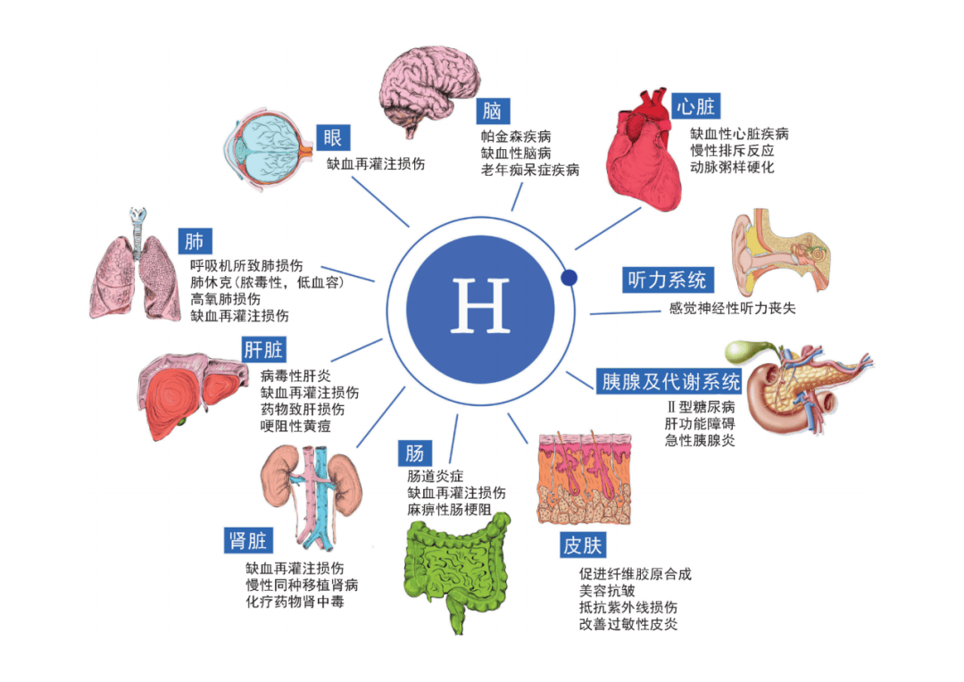 气态氢化物的稳定性图片