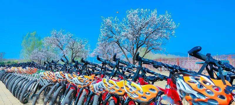 园内植有毛白杨,刺槐,白蜡,元宝枫,栾树,油松,云杉等乔木30余种,连翘