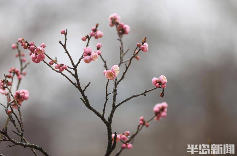 又迎一年花花世界