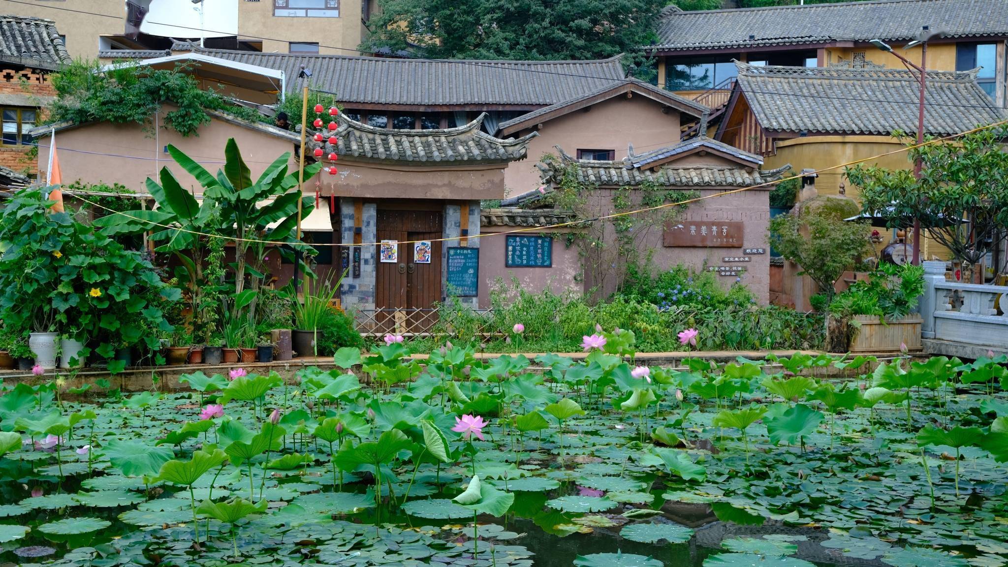 西山区团结龙潭社区:弥漫着土窑面包香味的彝族古村落_乡村_昆明_发展