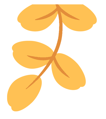 书香满校园悦读共成长