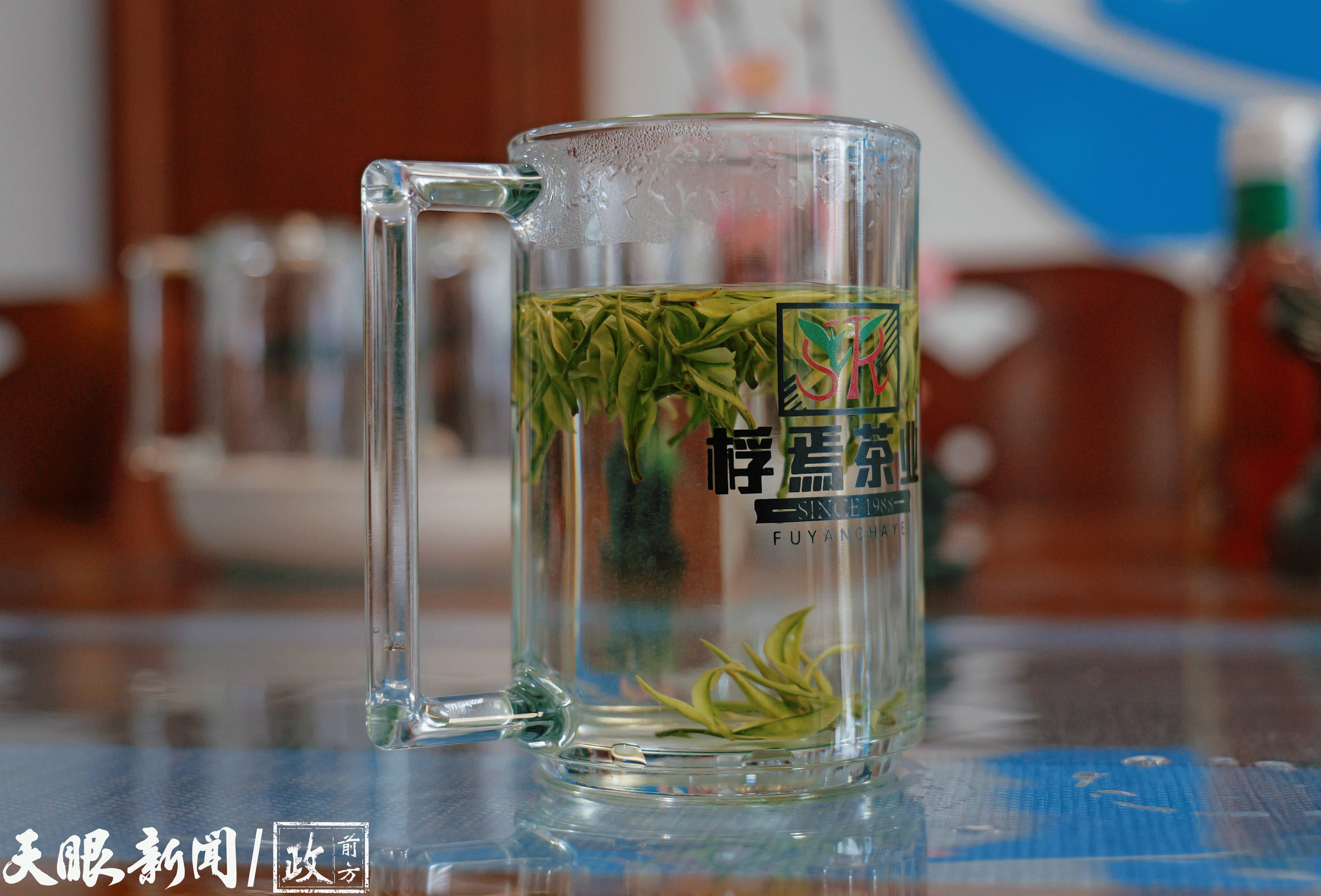 自带奶香的茶!遵义正安这片宝藏茶叶品牌估值超18亿元