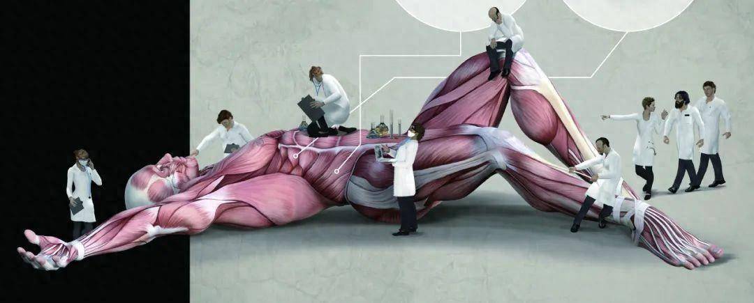 人体解剖的黑暗故事