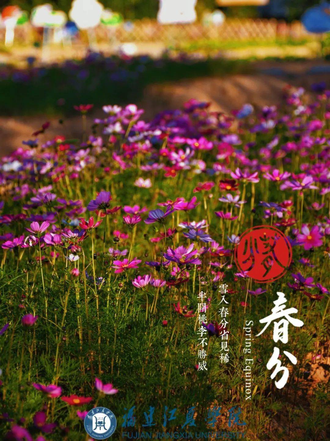 颜值爆表福建高校校花曝光