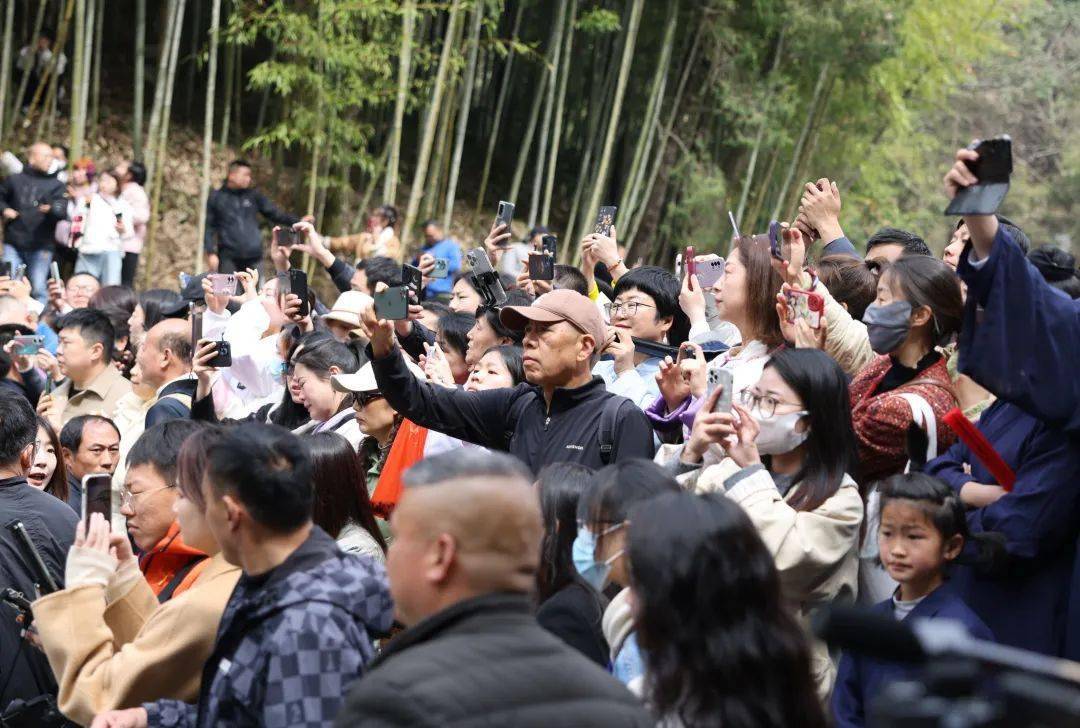 武当山_直播_同行