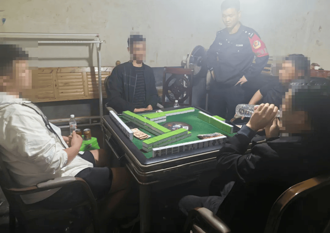 镇雄这个乡镇8人涉嫌赌博被民警当场查获_营利_赌场_目的