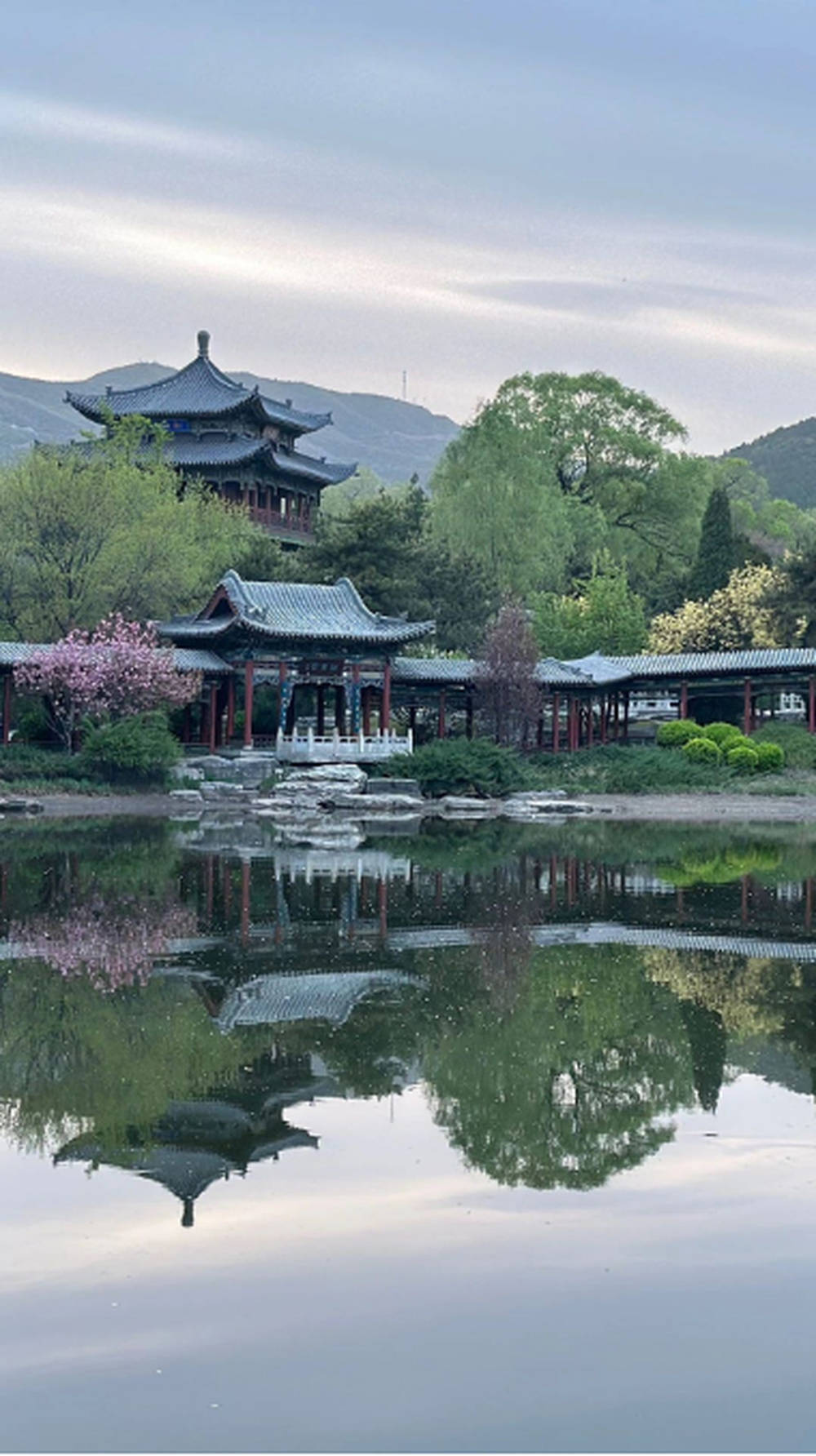 山西省ai太原春意尽在眼前