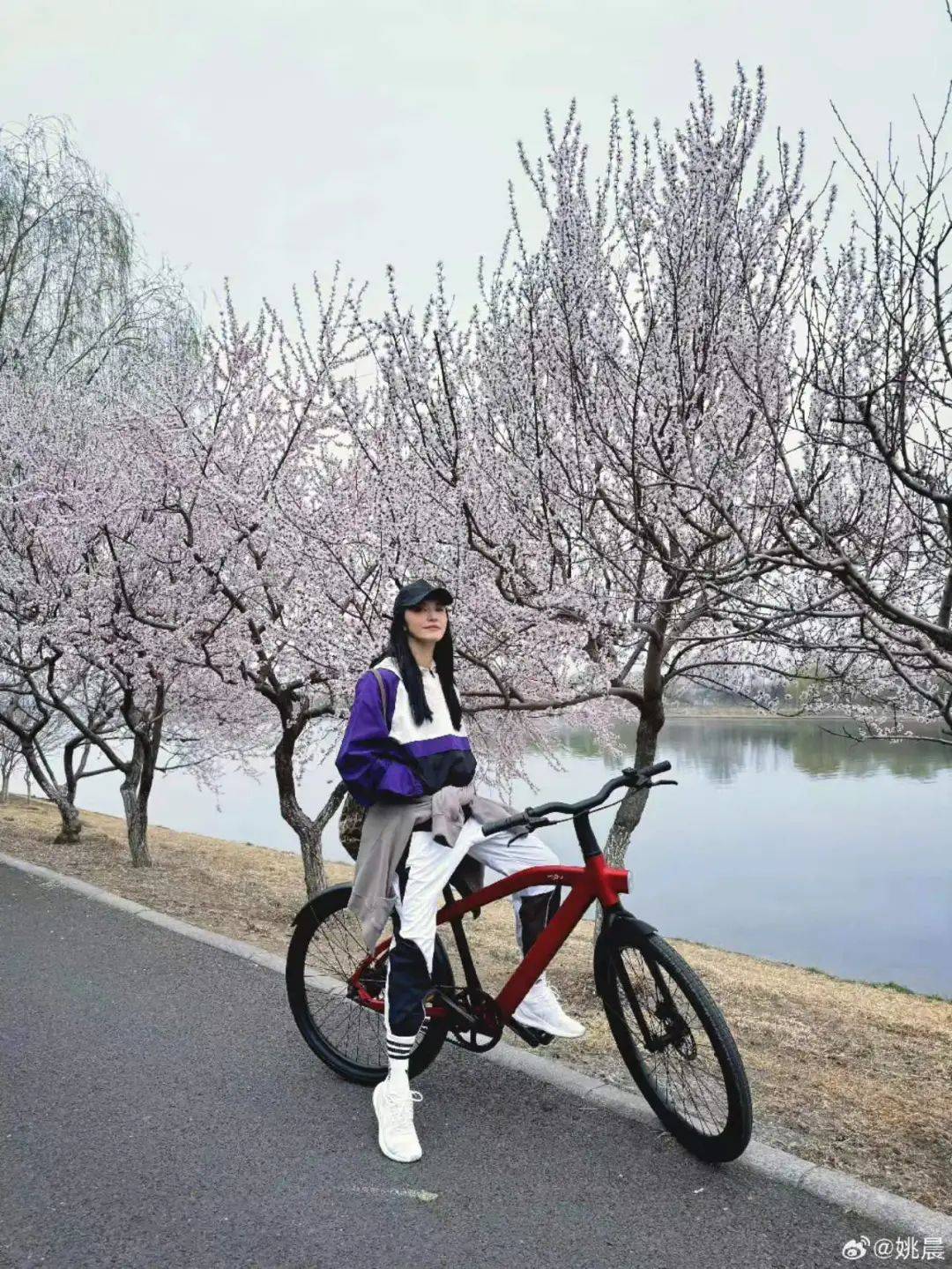 演员姚晨来大运河骑行了网友纷纷求偶遇内附通州大运河绝美大片
