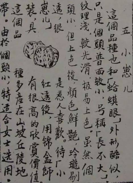 将文玩核桃“分门别类”_分类_工艺_狮子头