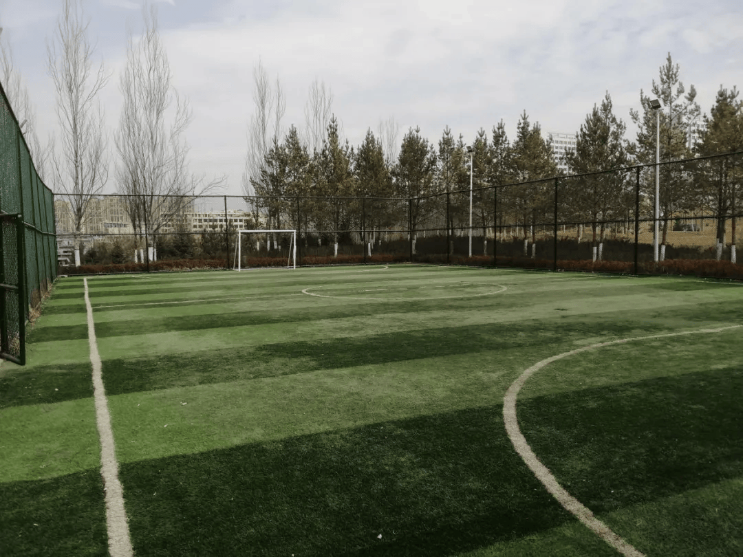 融创延安·宸院售楼处十七,高级中学西侧高级中学西侧配建篮球场(半场