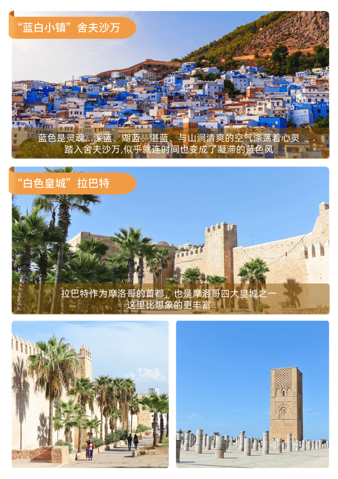 全世界最好色的国家——"北非花园"摩洛哥_舍夫沙_蓝色_菲斯