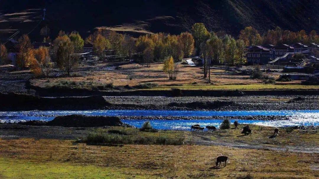 蜀山之王61伍须海61日鲁库湿地61甲根坝61泉华滩4日游自驾