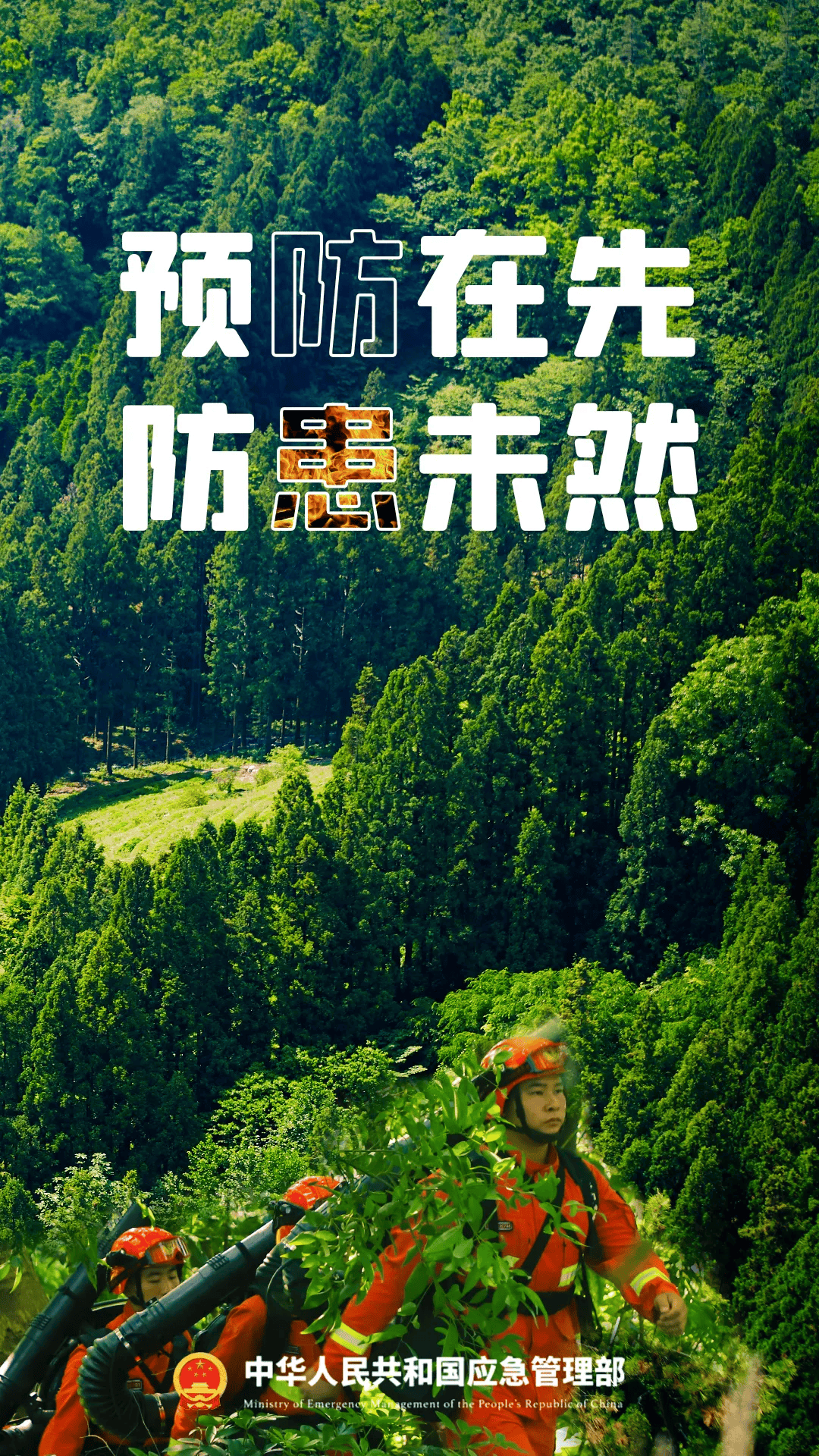 安全在线森林防火牢记十不准