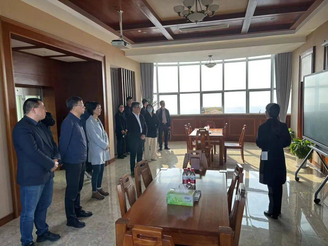 调研组一行首先登上林肯电梯高塔,俯瞰黄湾镇区域新能源发展现状,了解