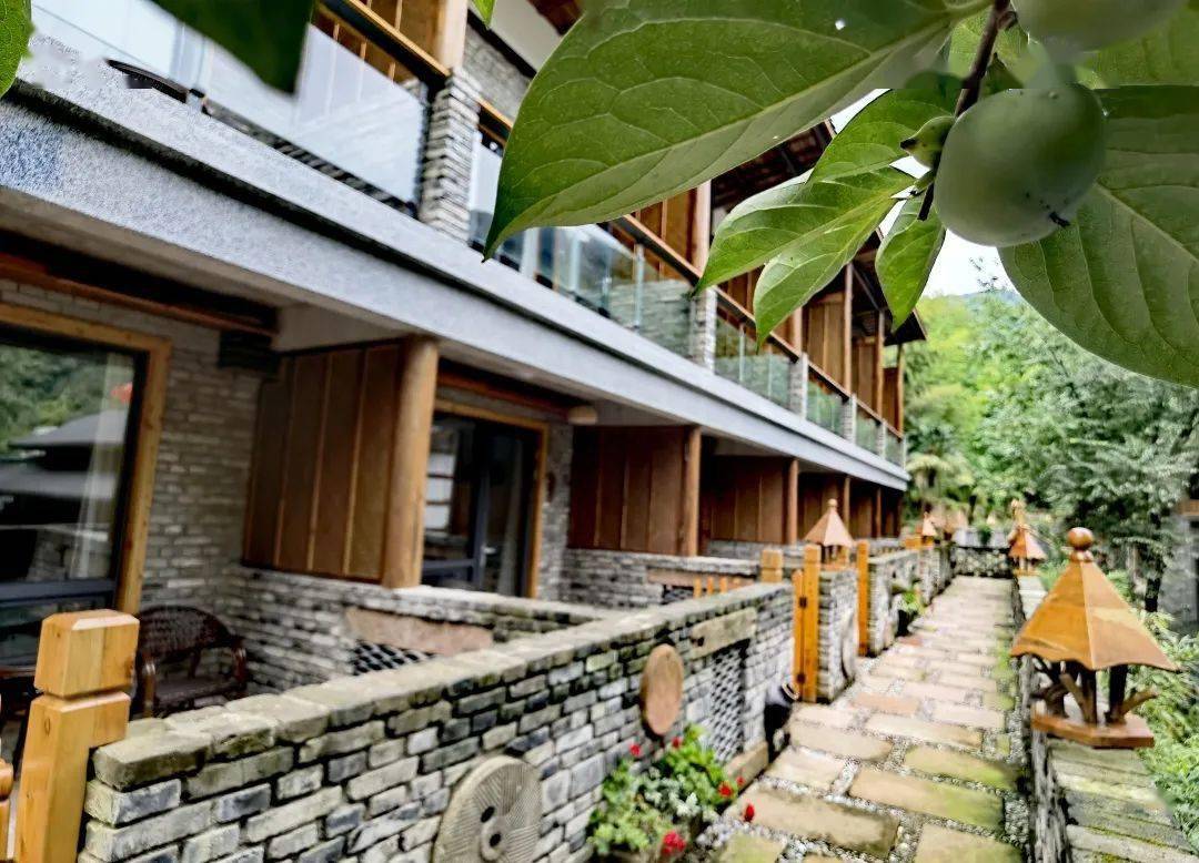 繁花已上线莫负好春光鹤鸣春日赏花带你住进春天里