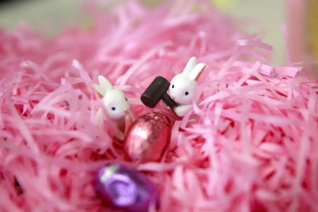 复活节彩蛋全新烟花上线连放两天盛世纪回归一起跳兔子舞玩滚蛋游戏