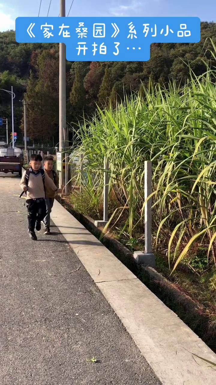 记录美好童年 绍兴 亲近自然 渔樵耕读 绍兴莲花落史大龙 陌上风起