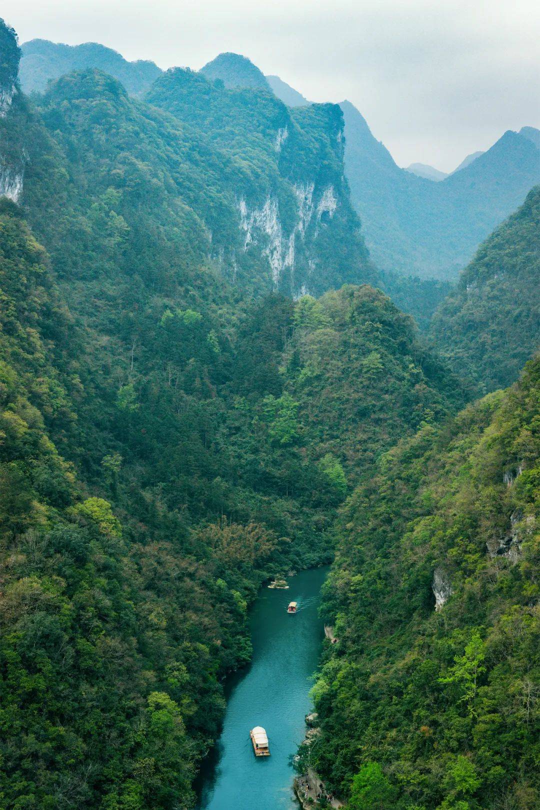 摄影_花海_山地
