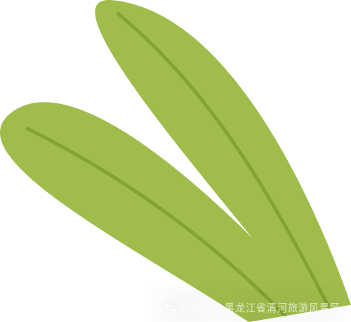 寻春计划感受春天气息悬羊岭探寻冰凌花户外主题活动