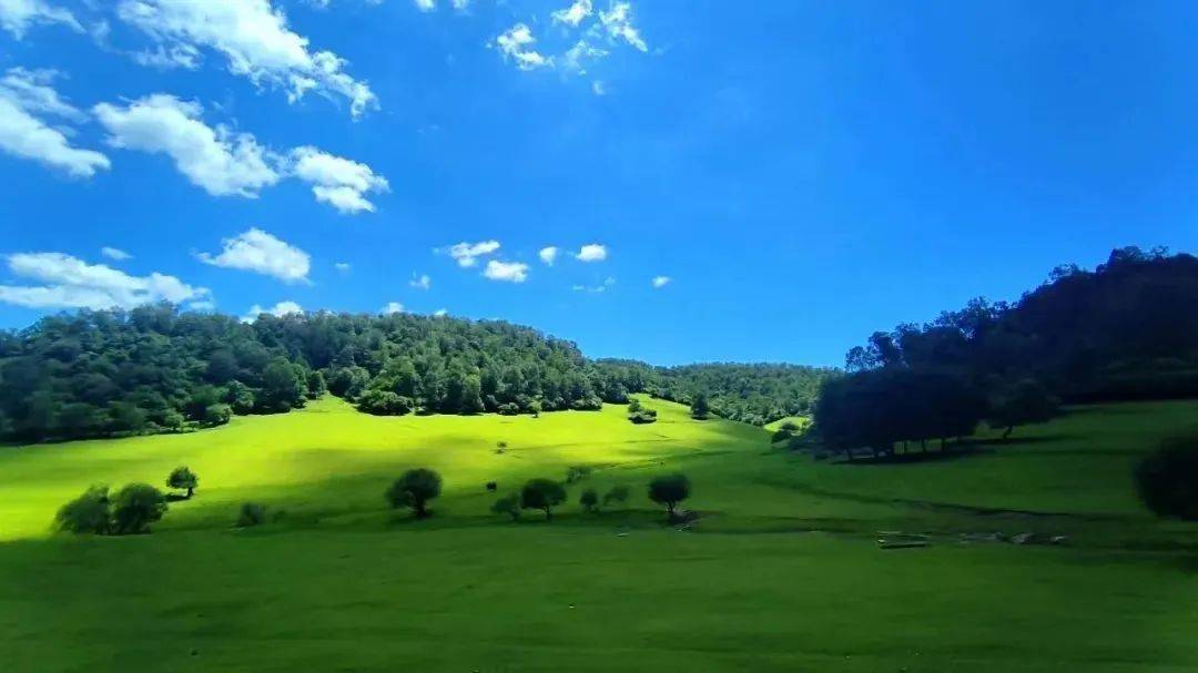 关山草原景区4月1日开园_游客_本人_门票