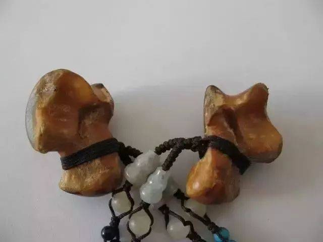 狼髀石指的是狼的蹄腕骨,传说可以驱邪除灾.